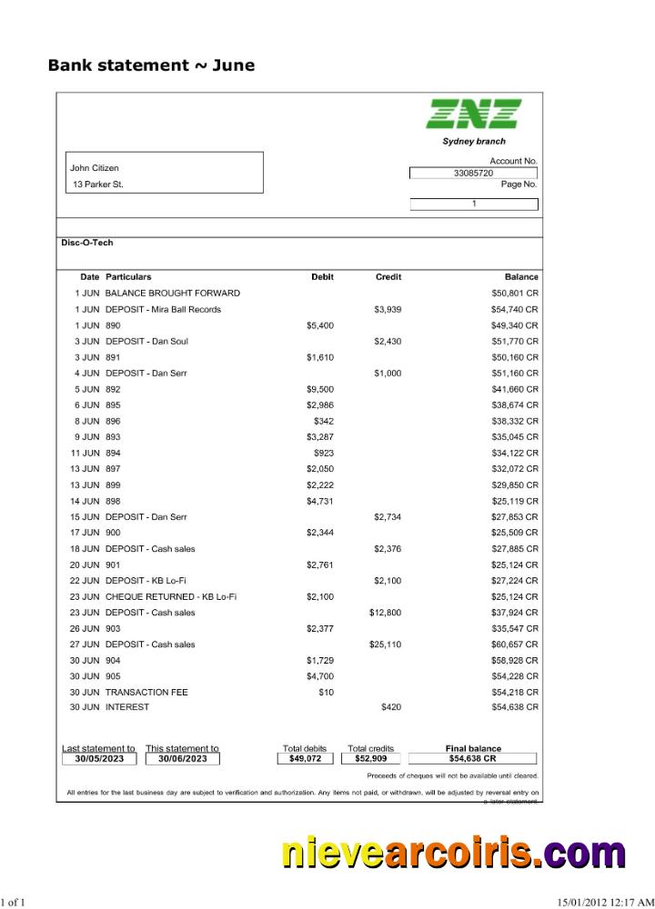 Sydney ZNZ bank statement Word and PDF scr